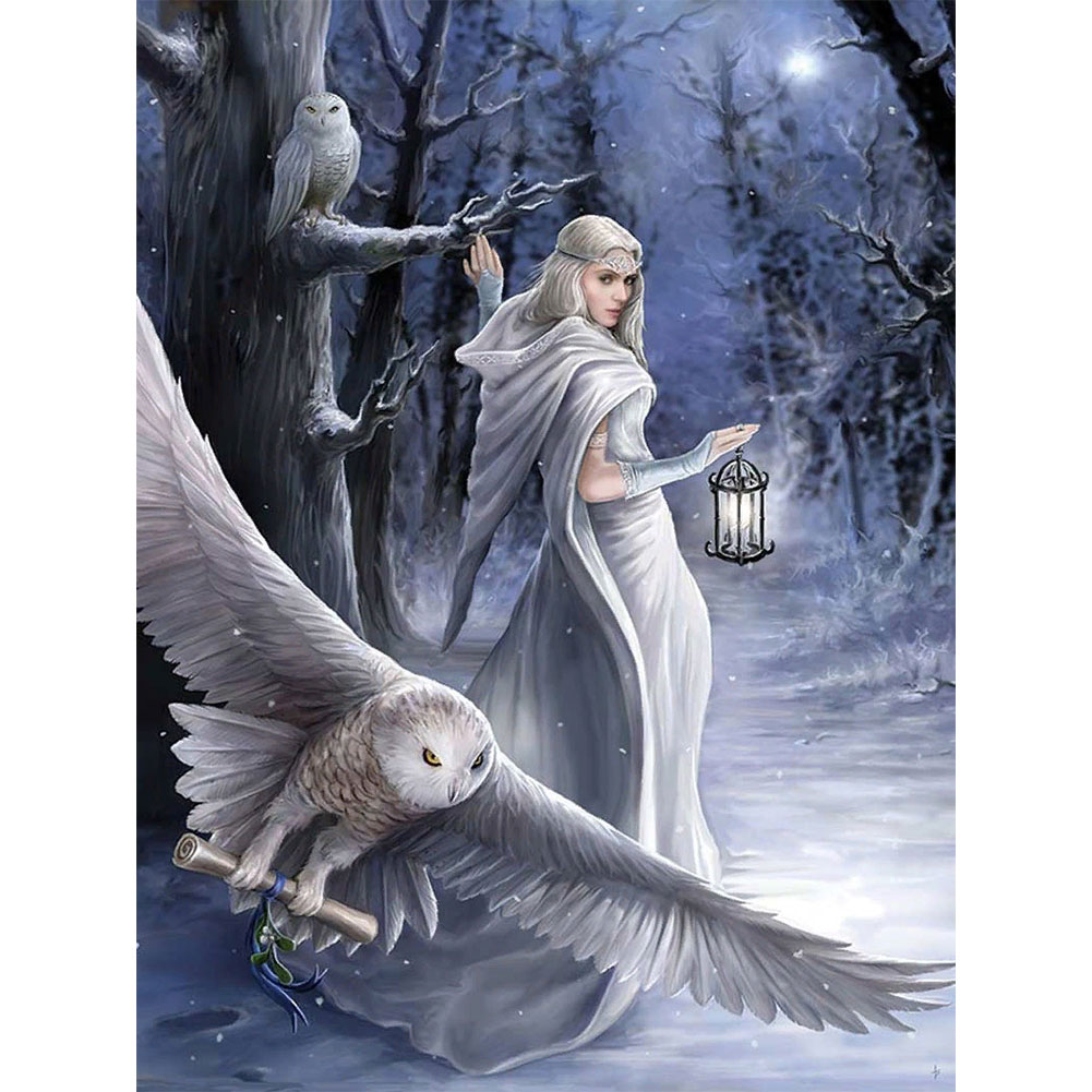 

Snow Goddess - 11CT Stamped Cross Stitch - 40*50CM, 501 Original