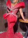 Asoebi Plus Size Elegant  Evening Dress-50