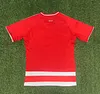 Joyfball 2025/2026 Union Berlin Home Football Jersey 1:1 Thai Quality