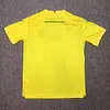 2024/2025 Nantes Home Football Shirt 1:1 Thai Quality