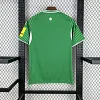2025/2026 Newcastle United Away Football Shirt 1:1 Thai Quality