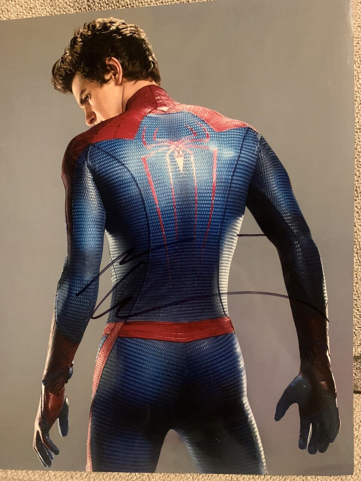 Andrew Garfield Signed The Amazing Spider-Man 10x8 Photo Poster painting