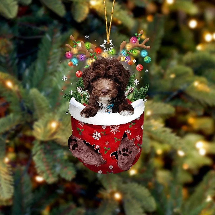 CHOCOLATE goldendoodle In Snow Pocket Ornament
