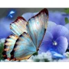 Butterfly  | Full Round Diamond Painting Kits