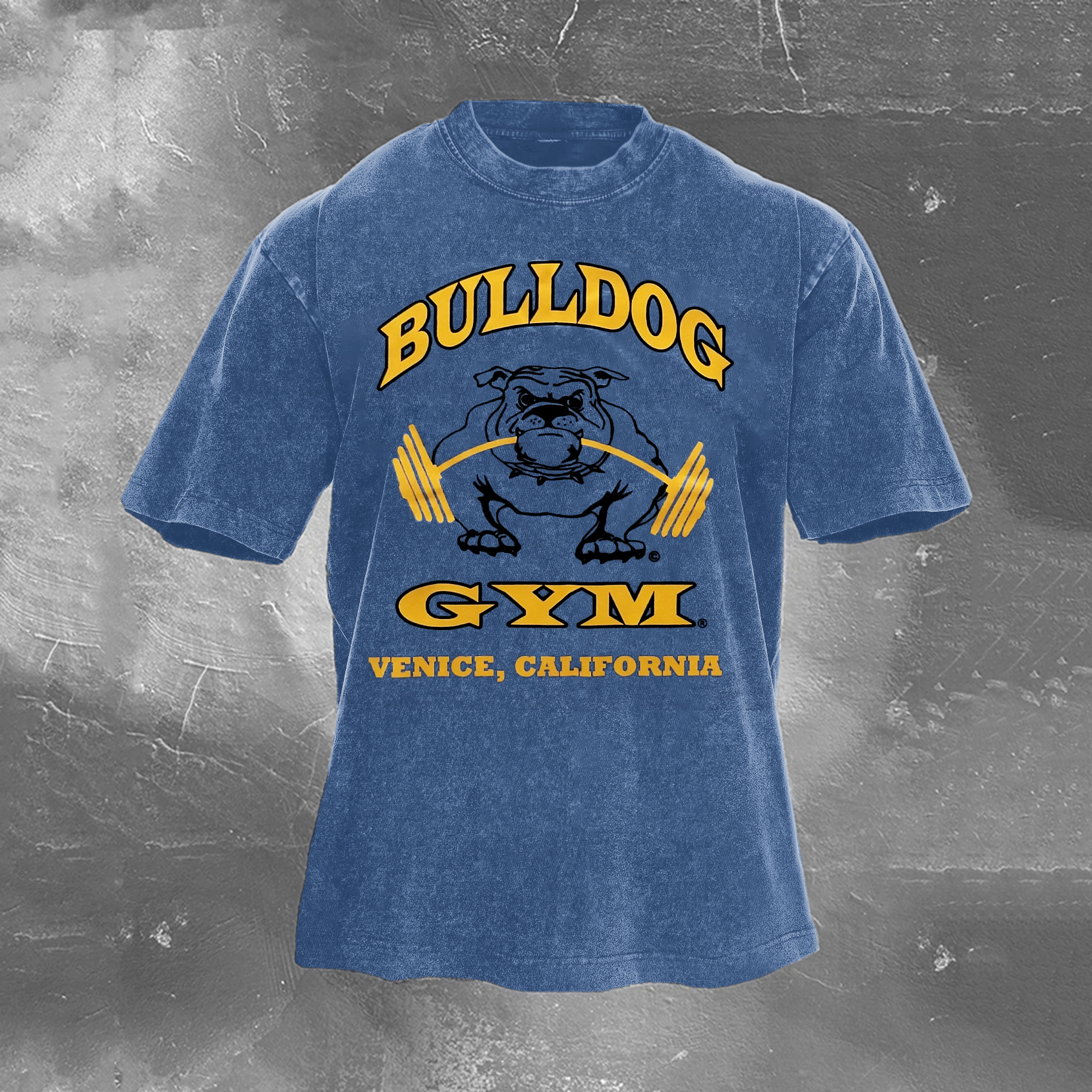 Retro Gym Bulldog Graphics Washed T-shirt