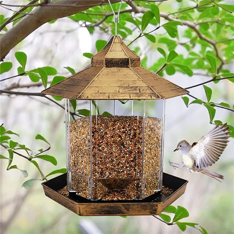 Sparrow Feeder