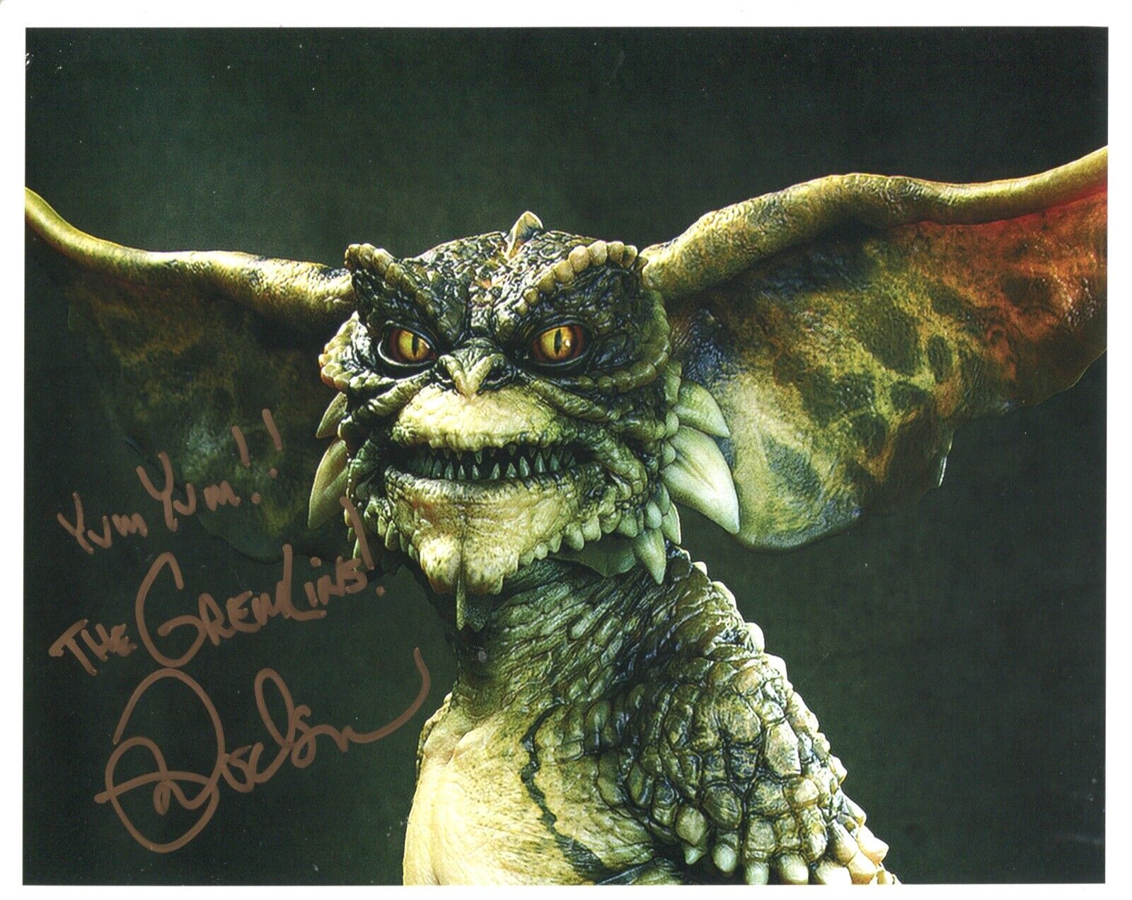 Actor Mark Dodson signed GREMLINS movie 8x10 Photo Poster painting