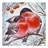 Bird 30*30CM(Canvas) Full Round Drill Diamond Painting