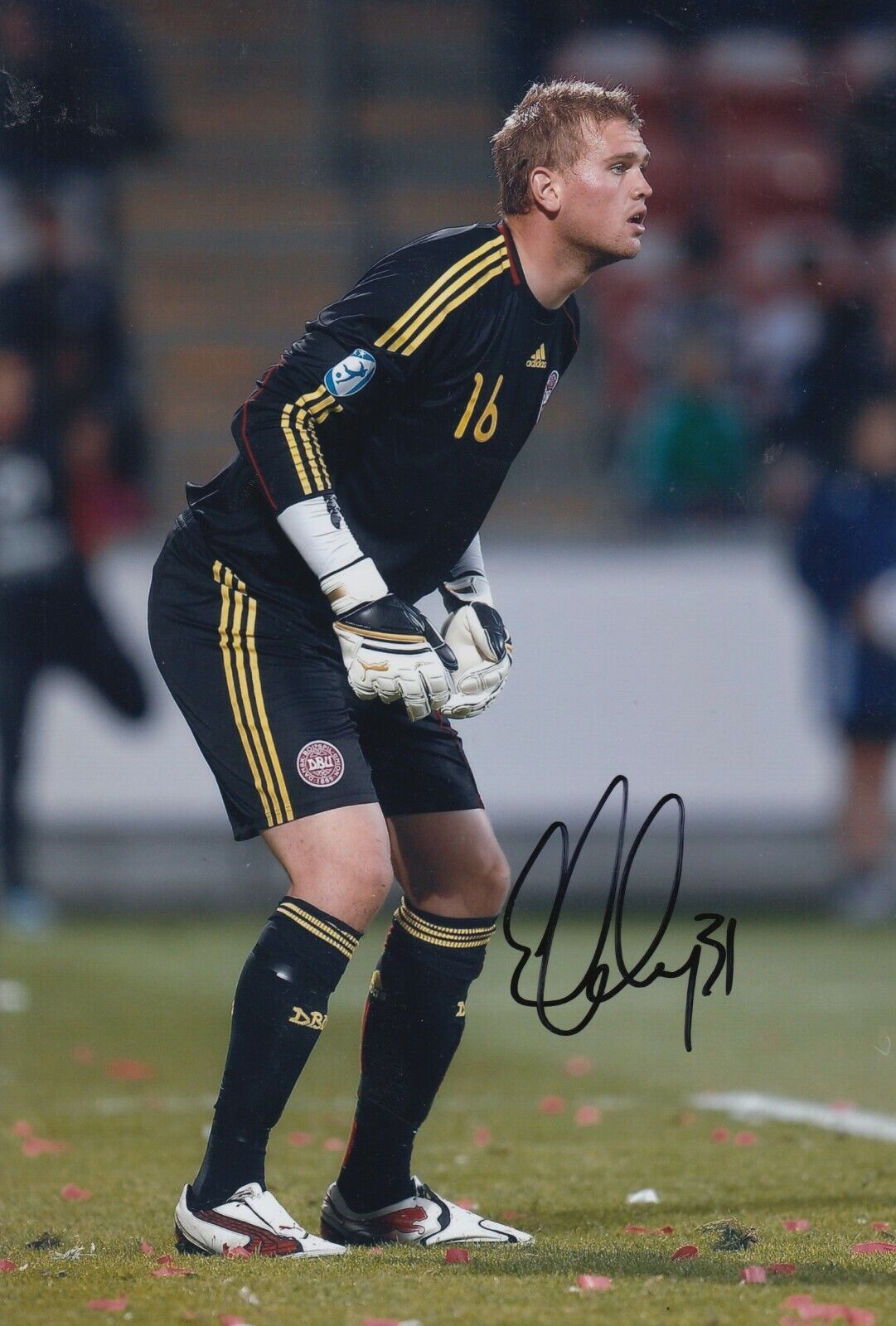 Mikkel Andersen Hand Signed 12x8 Photo Poster painting - Denmark - Football Autograph 1.