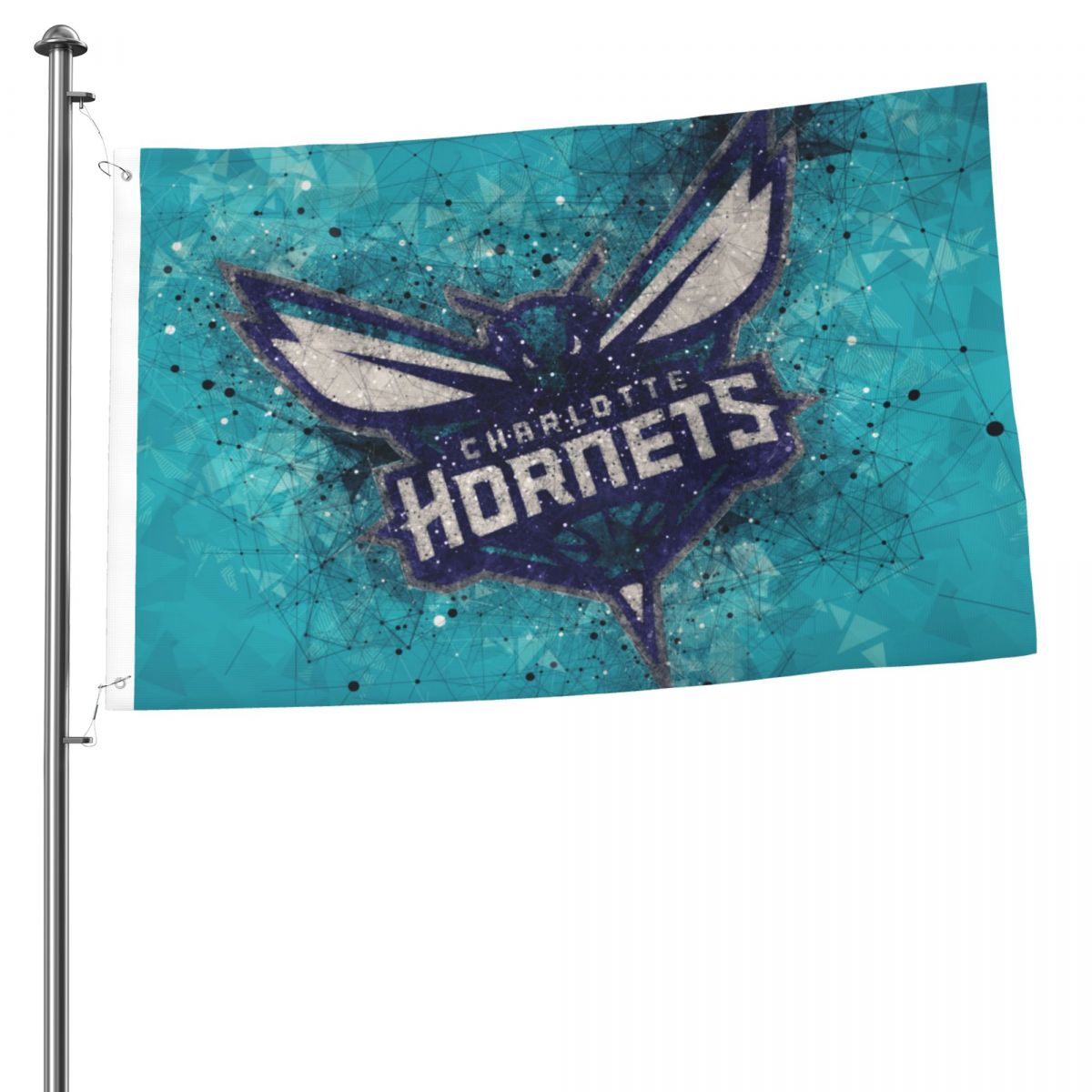 Charlotte Hornets Creative Logo 2x3FT Flag