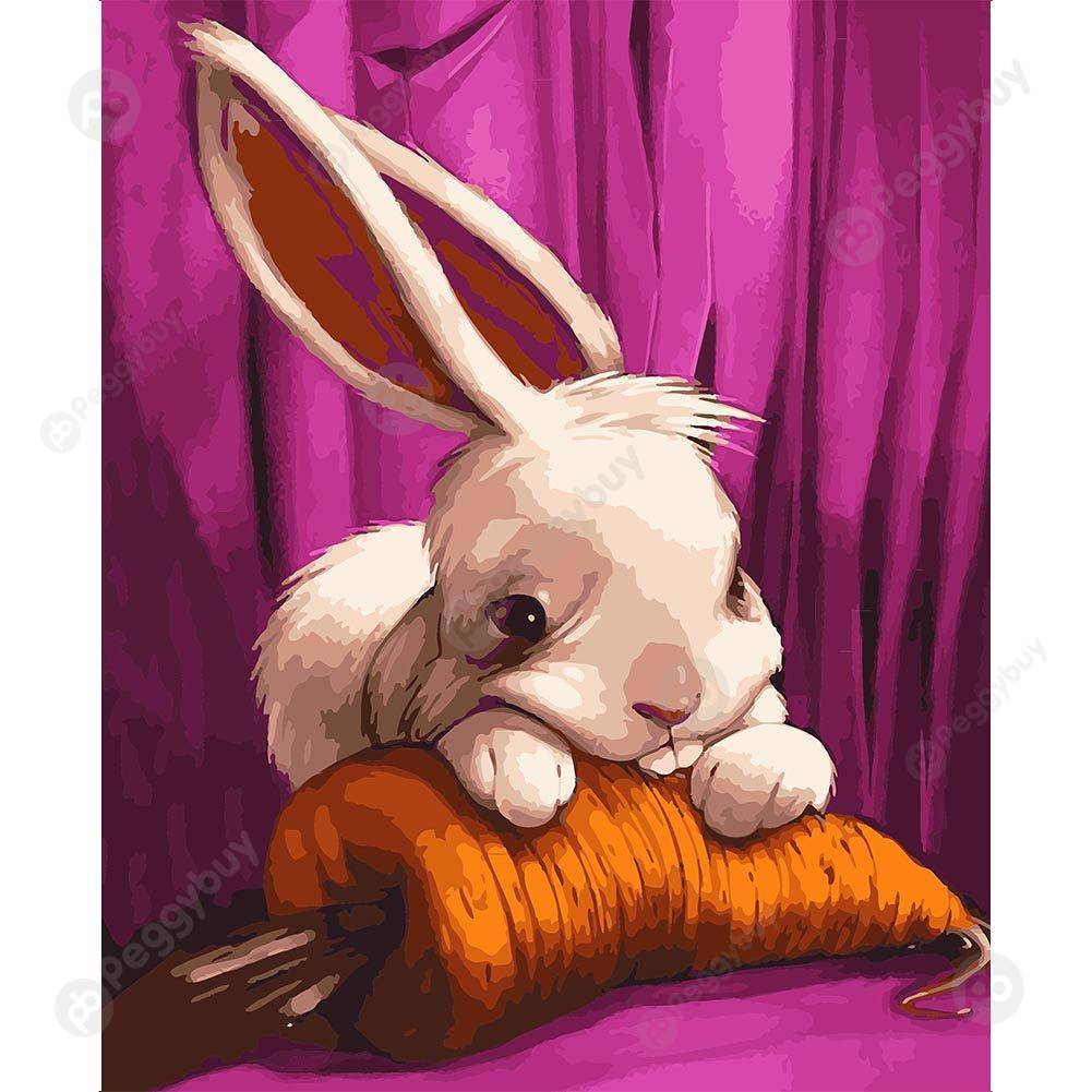 

40*50CM Paint By Numbers-Rabbit Carrot, 501 Original