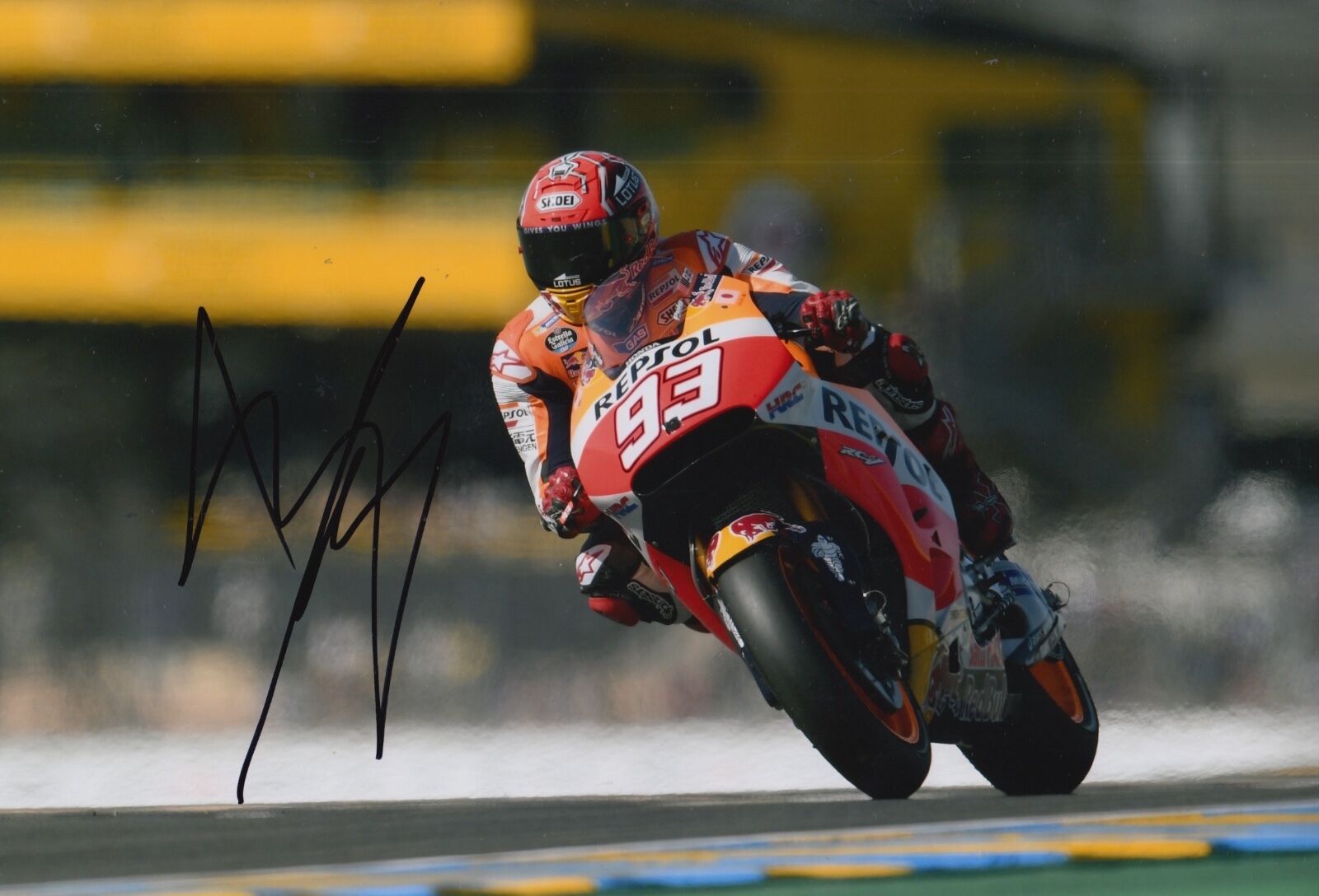 Marc Marquez Hand Signed 12x8 Photo Poster painting Repsol Honda 2016 MOTOGP World Champion 3.