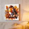 Framed Bluebird-Paint By Numbers Acrylic Painting 20*20CM With Color Box 3ML(12Colors)