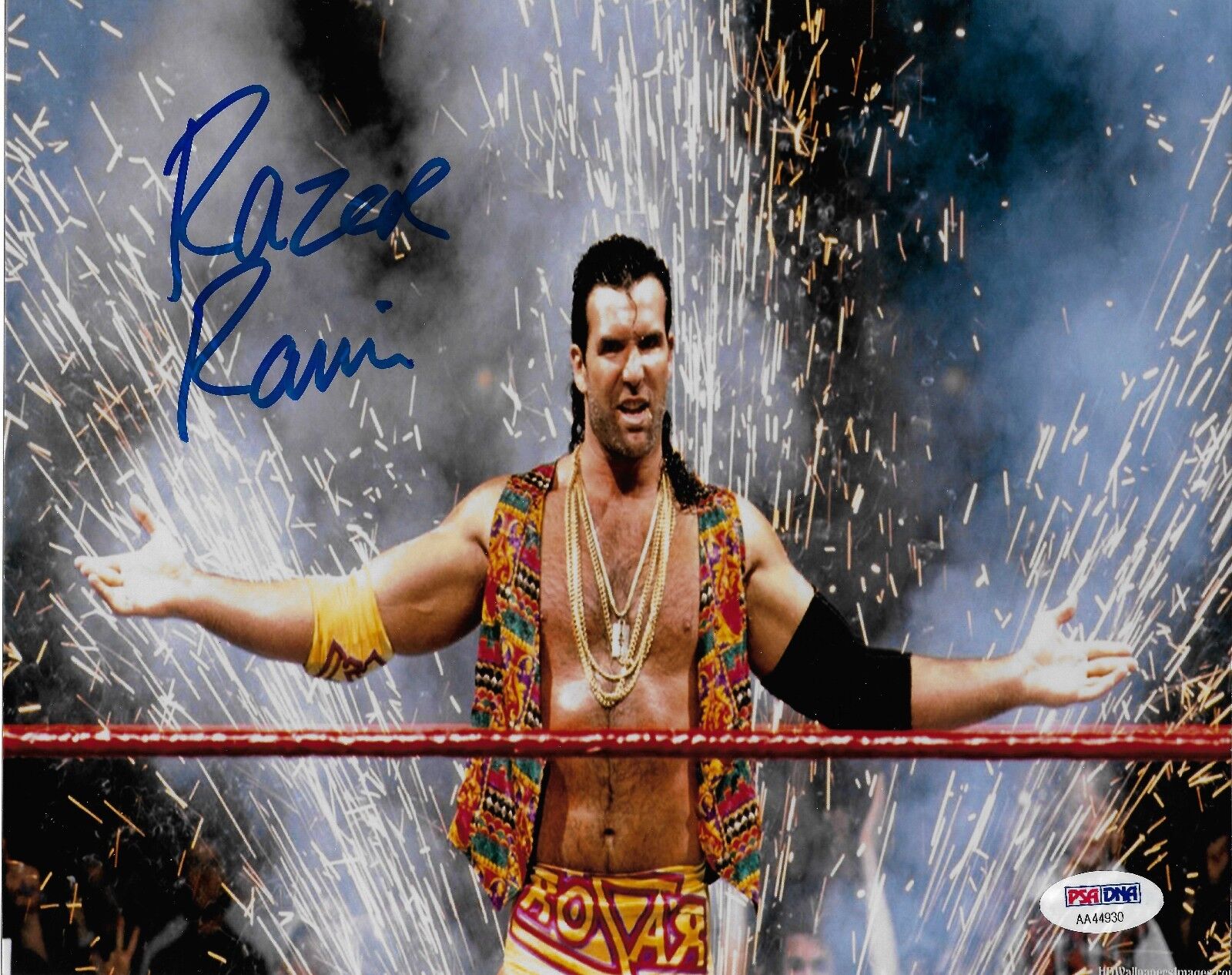 Razor Ramon Signed WWE 8x10 Photo Poster painting PSA/DNA COA Scott Hall Picture Autograph WCW 2