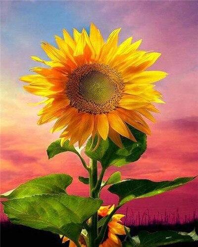 

Sunflower Wall Decoration – Paint By Numbers - 40*50CM, 501 Original