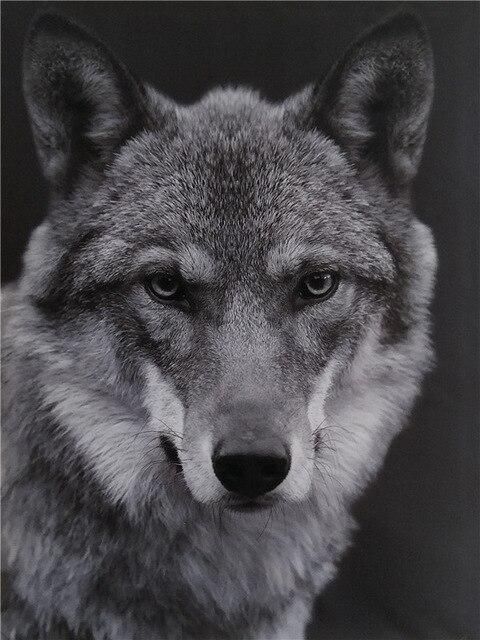 

Wolf Black And White – Paint By Numbers - 40*50CM, 501 Original