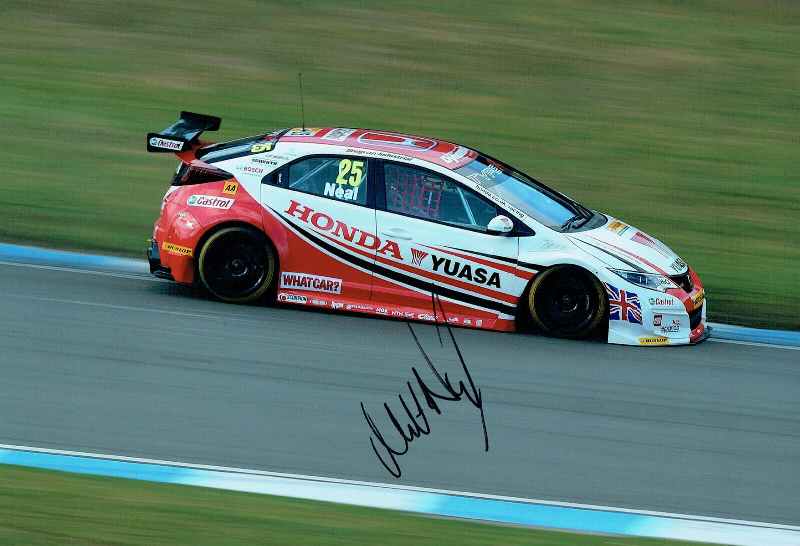 Matt NEAL British Touring Car Driver SIGNED 12x8 Photo Poster painting AFTAL Autograph COA