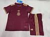 Joyfball 2025/2026 Kids Size Mexico Special Edition Football Shirt 1:1 Thai Quality