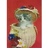 Diamond Painting -DIY Round Drill Cat
