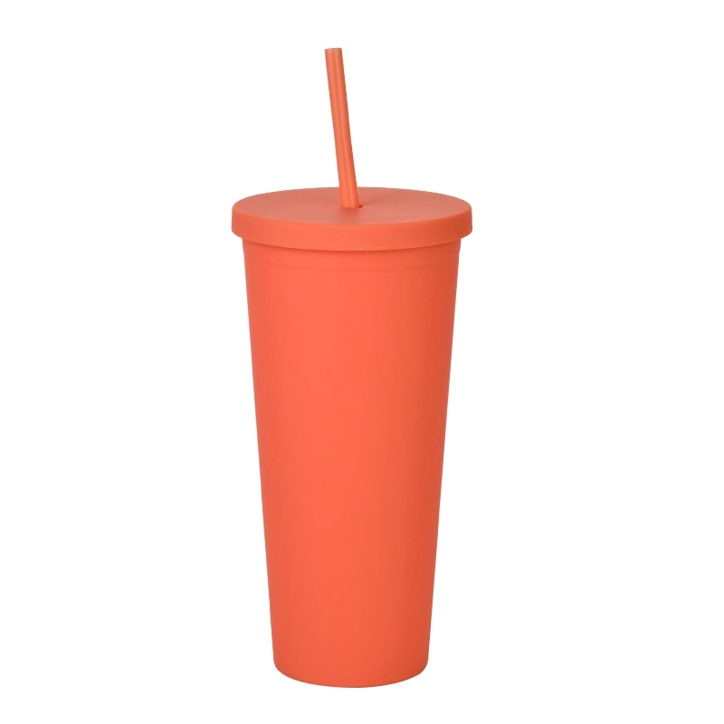 Double-layer Plastic Straw Cup With Lid 24oz Large-capacity Plastic Frosted Ready-to-hand Water Cup
