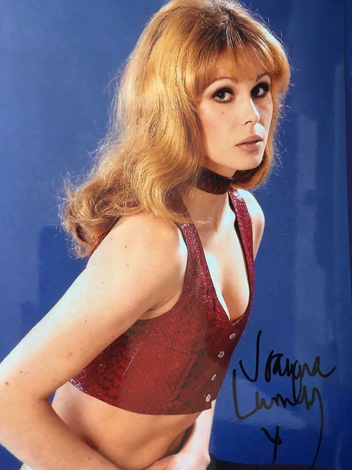 JOANNA LUMLEY - POPULAR BRITISH ACTRESS - SUPERB EARLY SIGNED Photo Poster paintingGRAPH