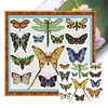 【Limited Stock Sale】Colorful Butterfly Logo-14CT Stamped Cross Stitch 34*30cm/13.39*11.81in tapestrymarket