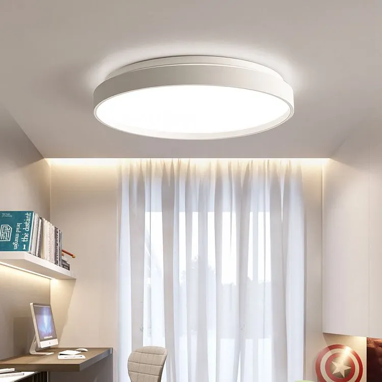 Quinn Minimalist Round Metal Acrylic Flush Mount Ceiling Light