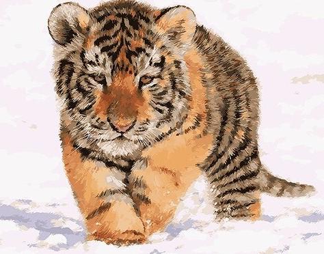 

Tiger Cub in Snow – Paint By Numbers - 40*50CM, 501 Original