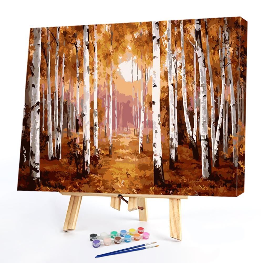 

50*40CM Paint By Numbers-Sunrise, 501 Original
