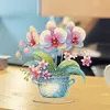 Orchid&eacute;e phalaenopsis acrylique - ornement d&rsquo;artisanat 5d bricolage