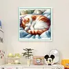 Sleeping Cat-11CT Counted Cross Stitch 40*40cm tapestrymarket