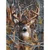 Deer-Full Square Diamond Painting 30*40CM