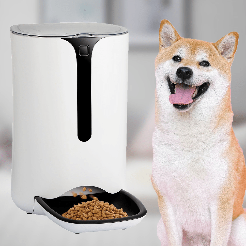 Automatic Dog & Cat Feeder - 6 Liters