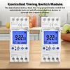2 Channels Programmable 24Hours Time Clock Big LCD Display Digital Timer Switch