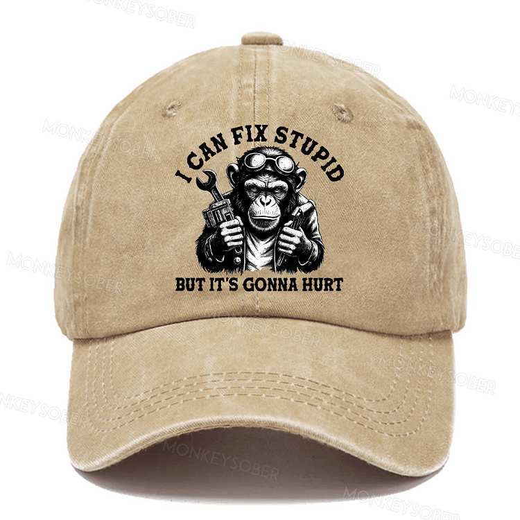 I Can Fix Stupid But It's Gonna Hurt Washed Baseball Caps