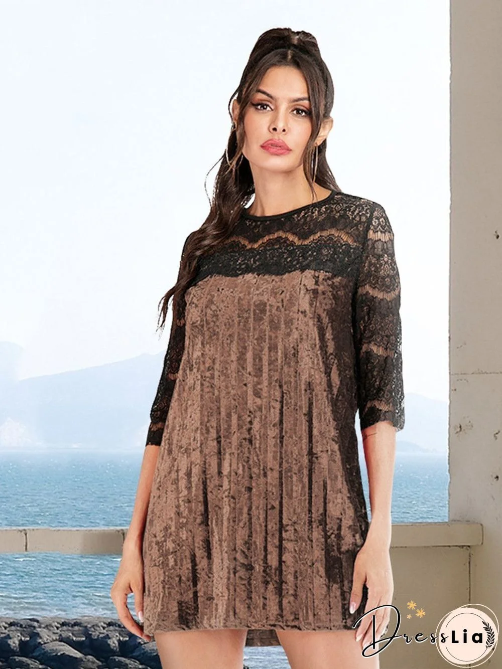 Round Neck Lace Hollow Valvet Shift Dress