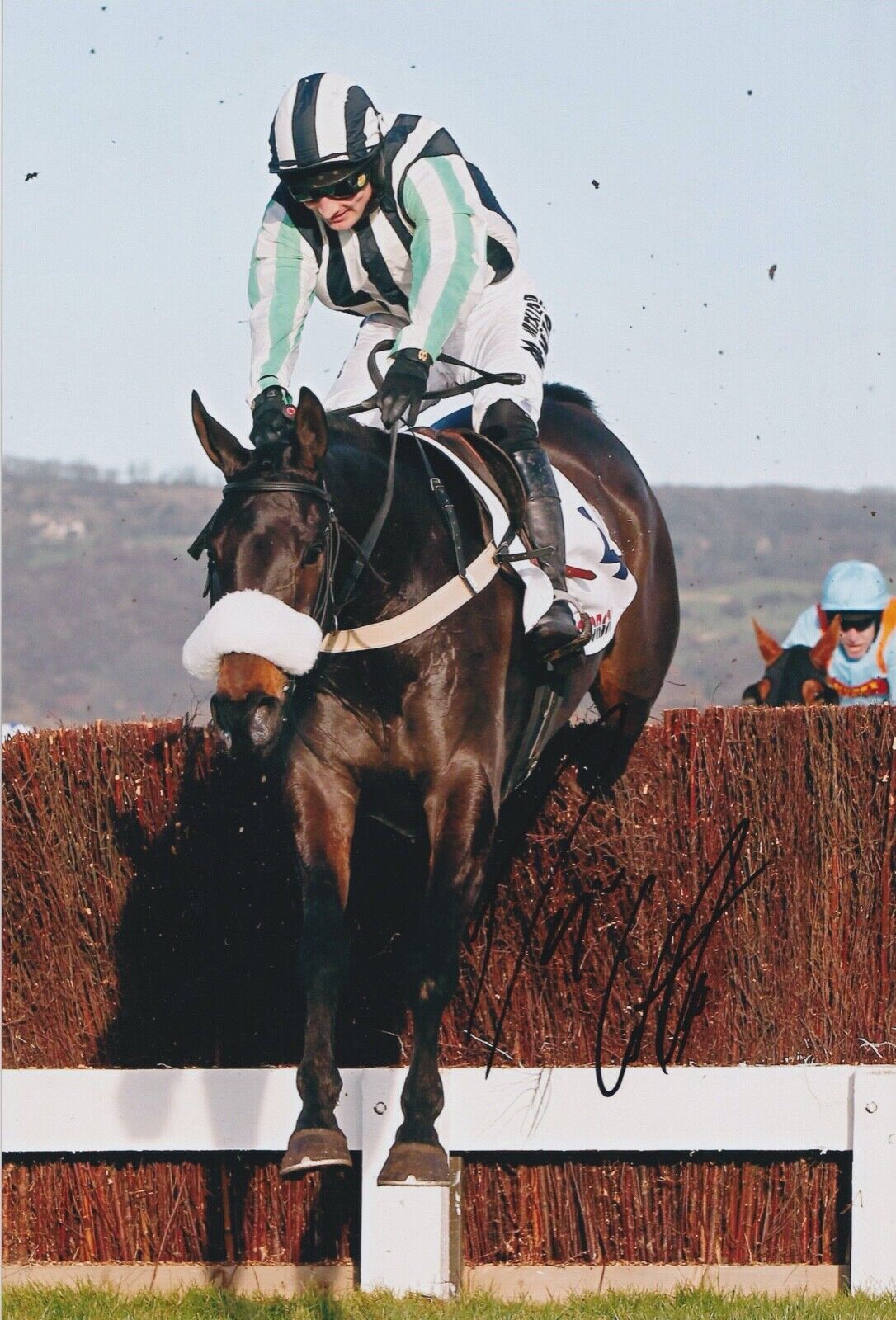 DOUGIE COSTELLO HAND SIGNED 12X8 Photo Poster painting - HORSE RACING AUTOGRAPH