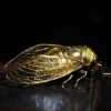 Purely Handmade Solid Copper Gold-plated Cicada Ornaments Collection Art