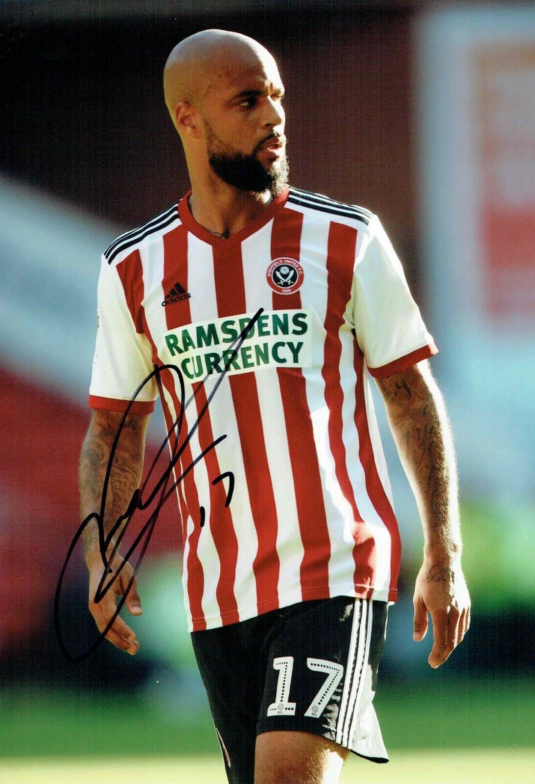 David McGOLDRICK Sheffield United Signed Autograph 12x8 Photo Poster painting 3 AFTAL COA SUFC