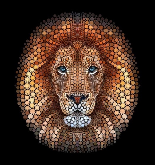 

Lion Made Out Of Circles – Paint By Numbers - 40*50CM, 501 Original