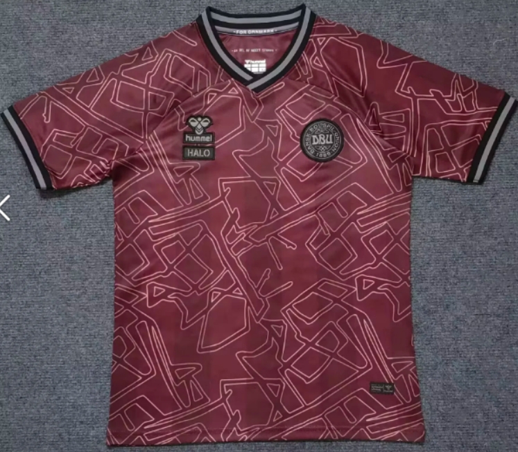 2024/2025 Denmark National Team Special Edition Football Shirt 1:1 Thai Quality jersey|football shirt|football kit