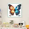 Colorful Butterfly - 11CT Stamped Cross Stitch - 49*45cm