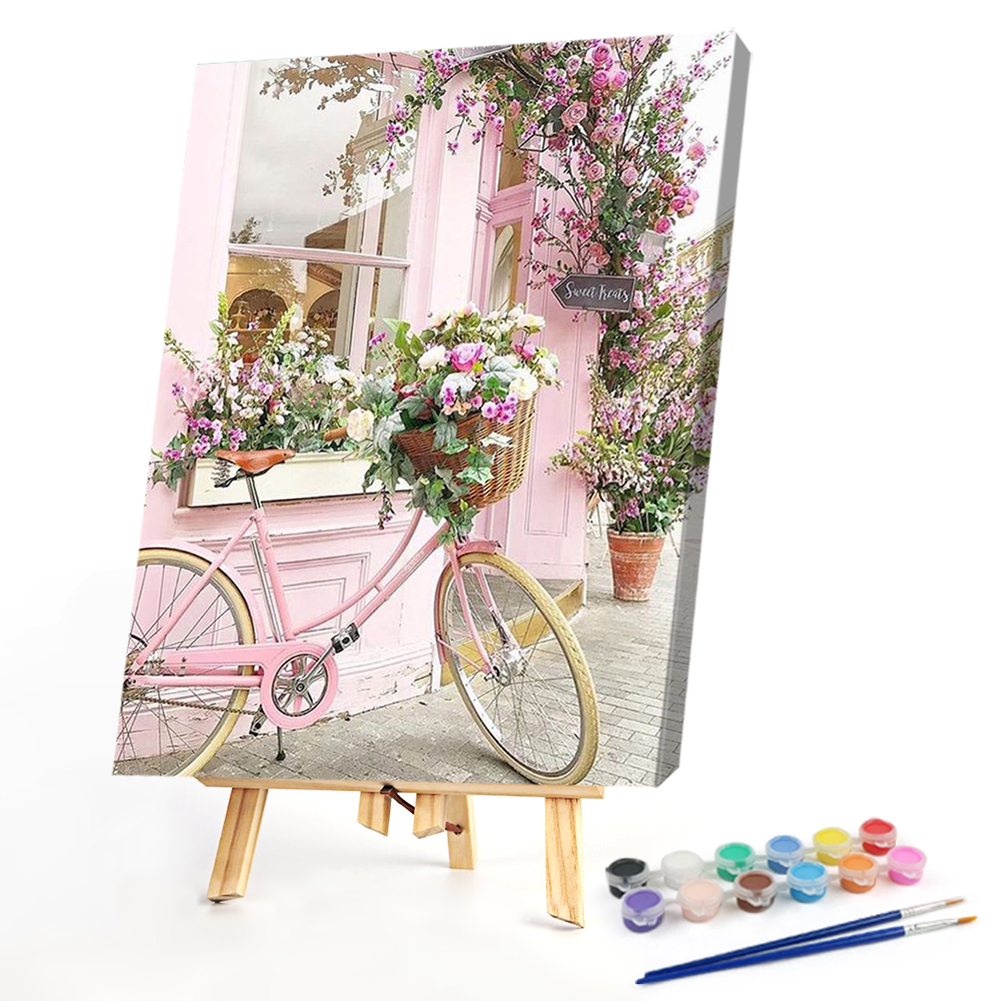 

40*50CM - Paint By Numbers - Pink Bicycle, 501 Original