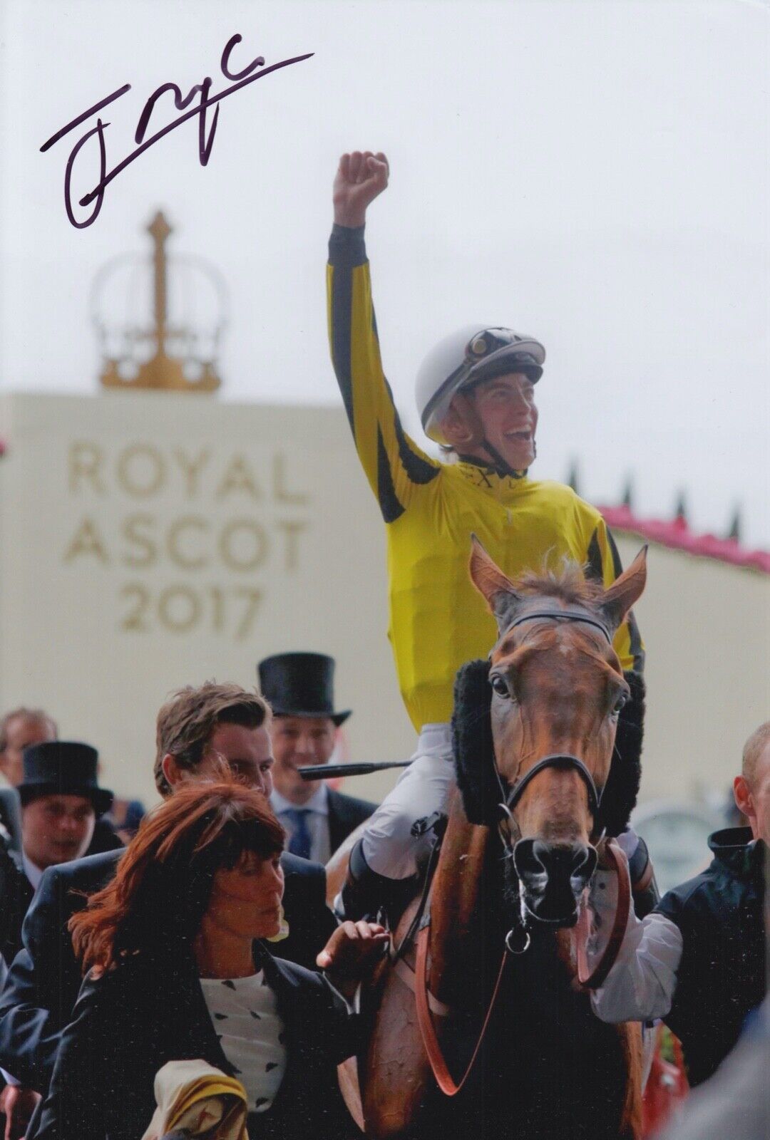 JAMES DOYLE HAND SIGNED 12X8 Photo Poster painting BIG ORANGE HORSE RACING AUTOGRAPH 4