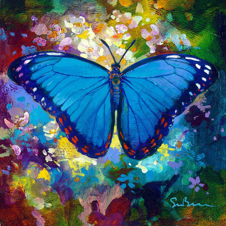 DIY Painting By Numbers Butterfly 40cm*40cm