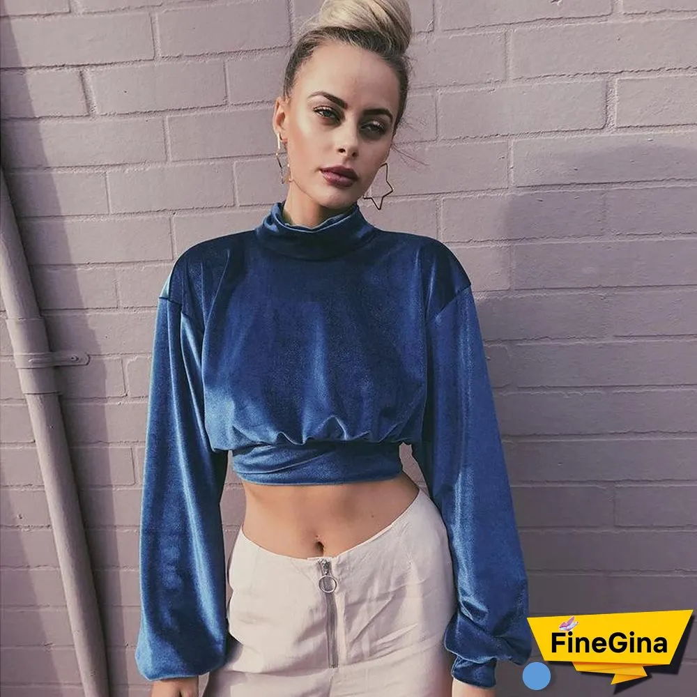 Fashionable High Collar Velvet Short Open Navel Top