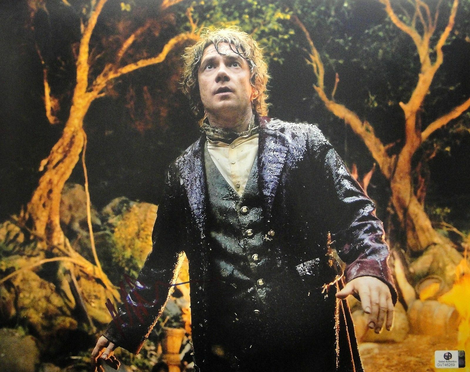 Martin man Hand Signed Autographed 11x14 Photo Poster painting The Hobbit Bilbo JSA T60158