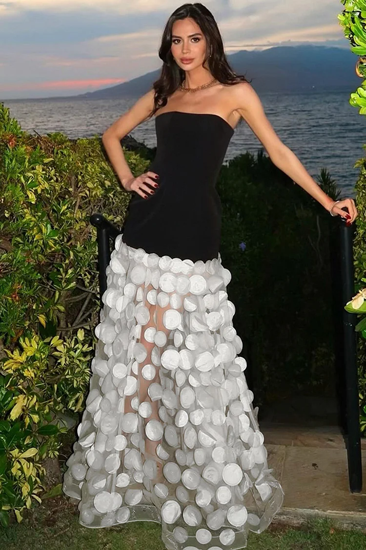 Contrast Color Mesh 3D Embellishments Maxi Dress-Black And White