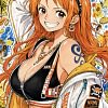 Orange Style Nami Decorative Painting - ONE PIECE - H-TWO Studio