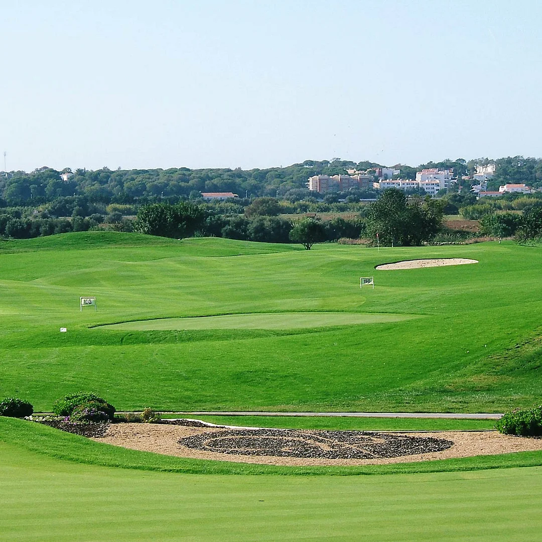 T-1 Creeping Bent Grass